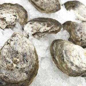 murder point oysters at fairhope ahi seafood market