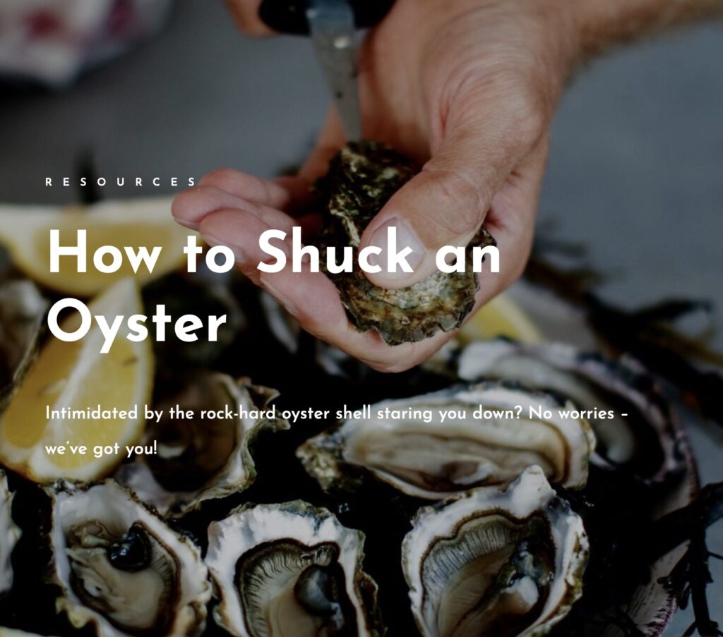 how to shuck an oyster